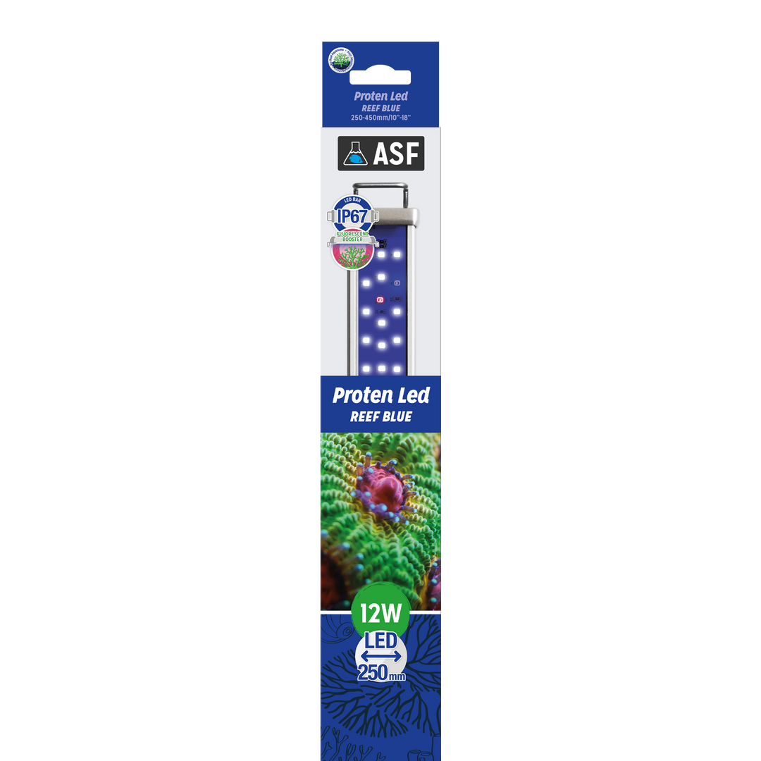 Proten LED bar Reef Blue