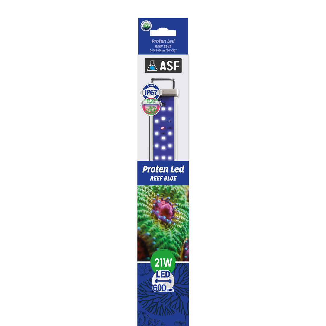 Proten LED bar Reef Blue