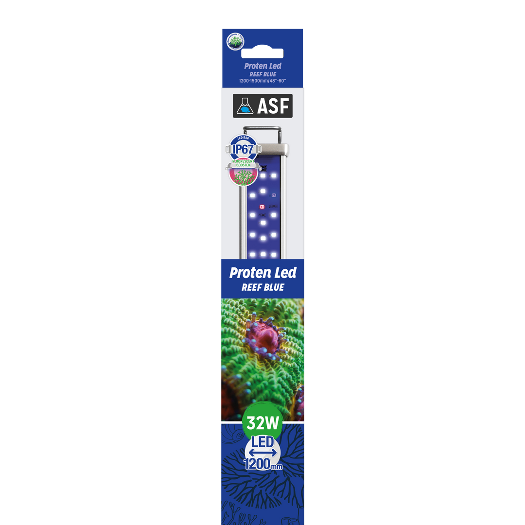 Proten LED bar Reef Blue