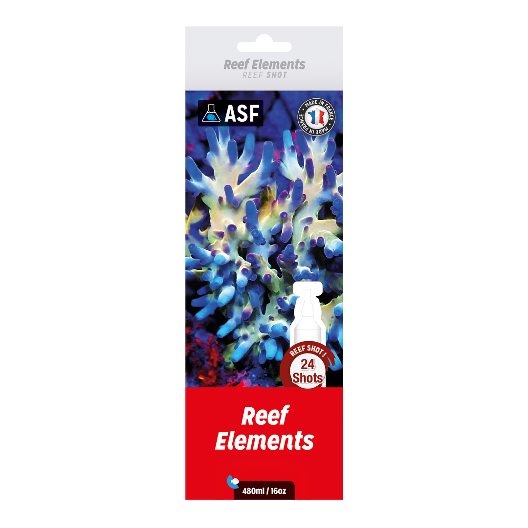 Reef Shot