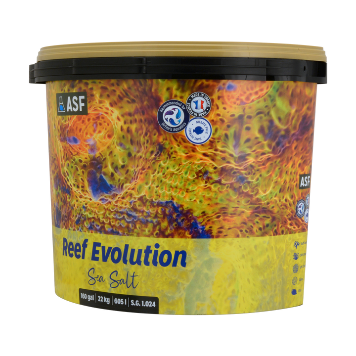 Reef Evolution Meersalz