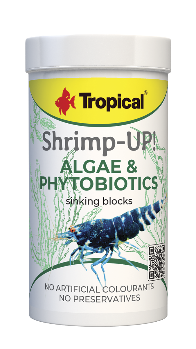 Shrimp-Up!