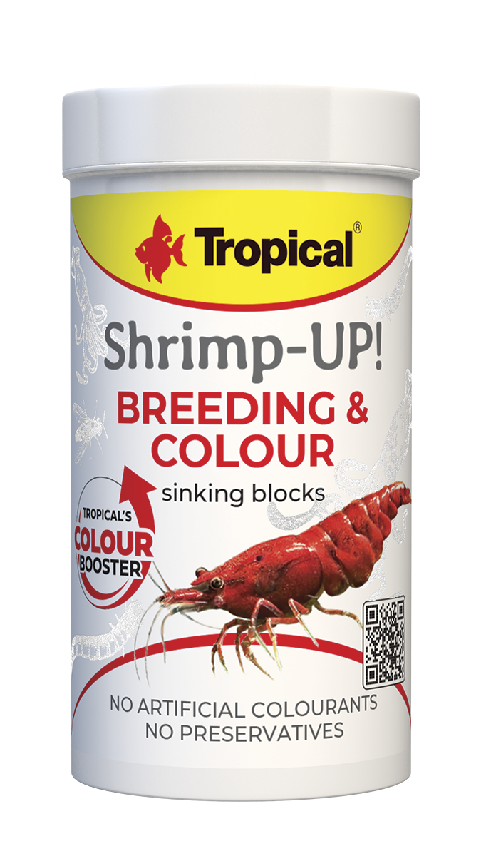 Shrimp-Up!