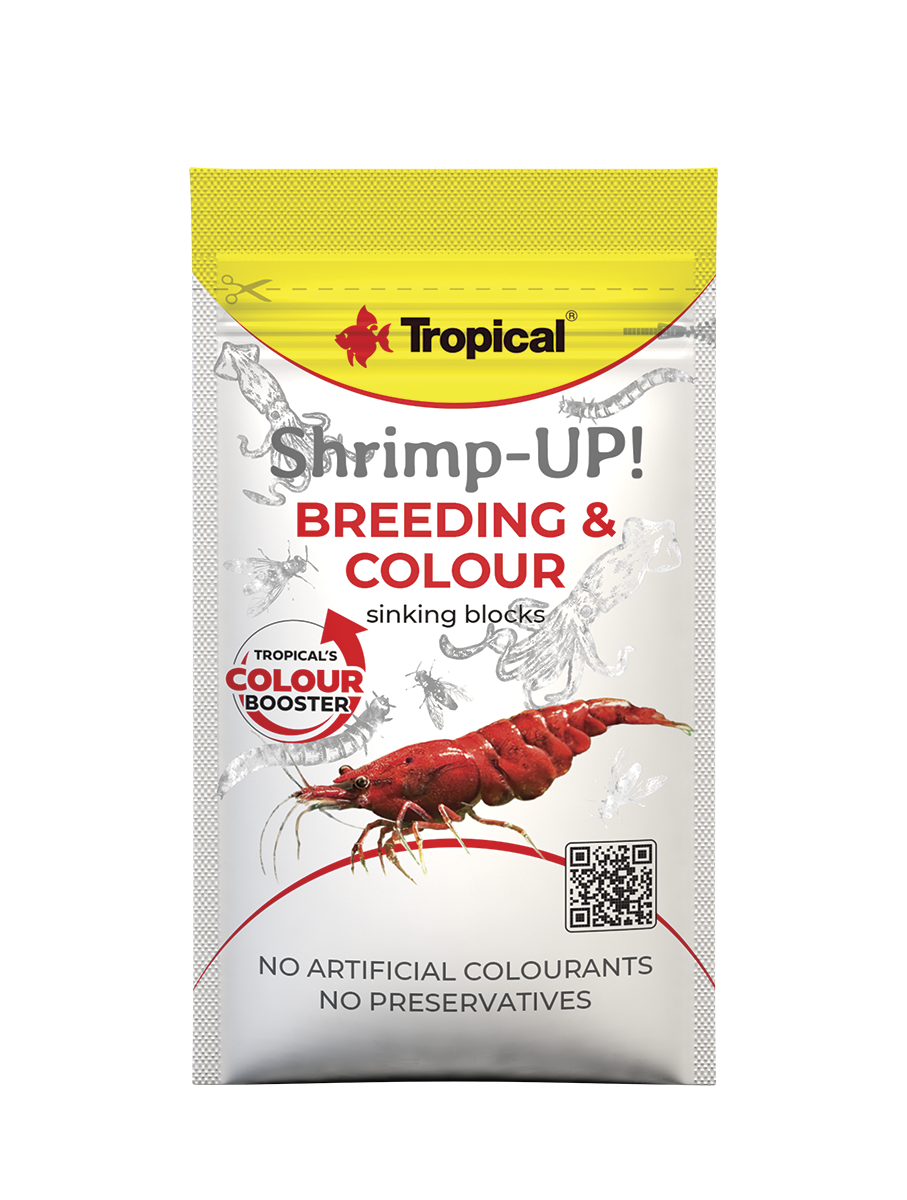 Shrimp-Up!