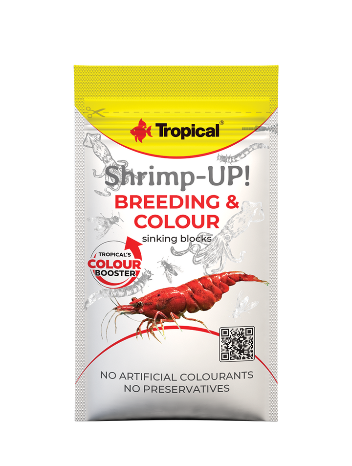 Shrimp-Up!