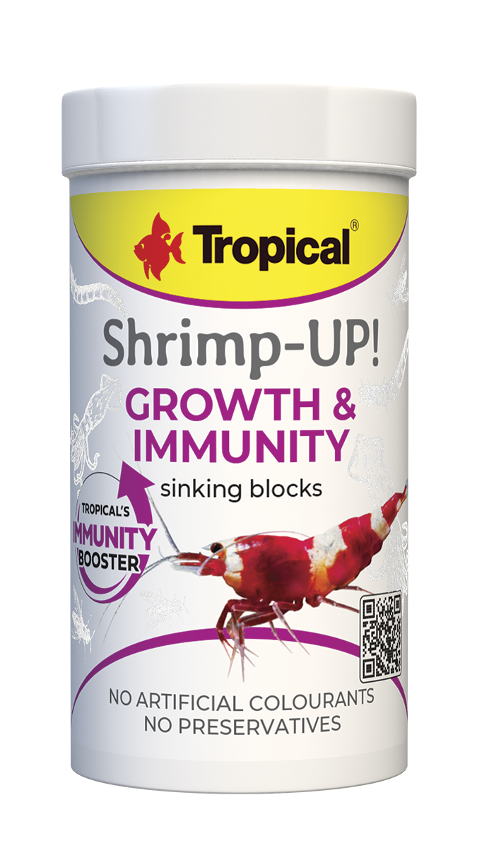 Shrimp-Up!