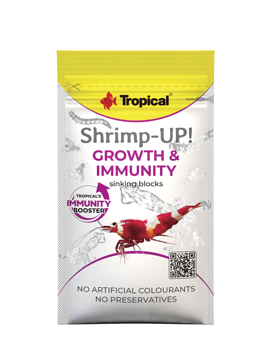 Shrimp-Up!