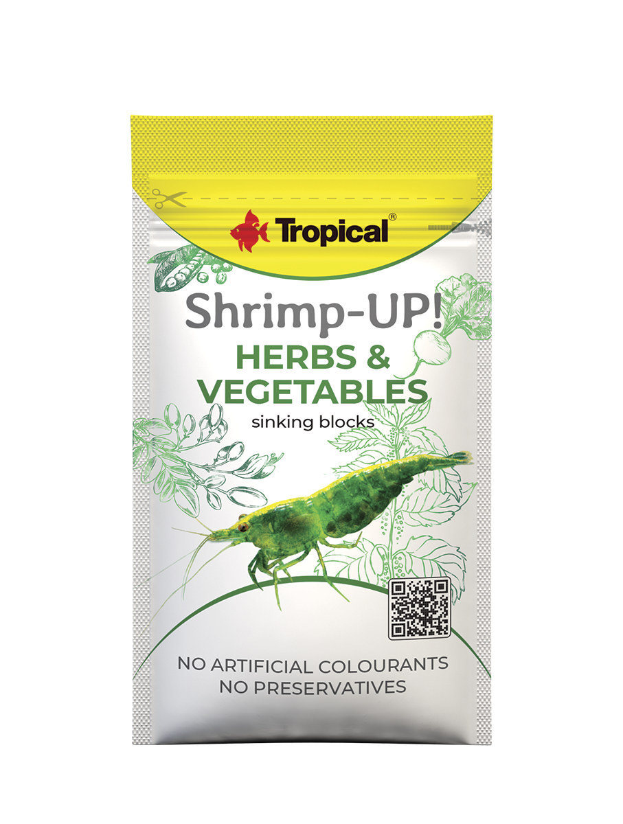 Shrimp-Up!