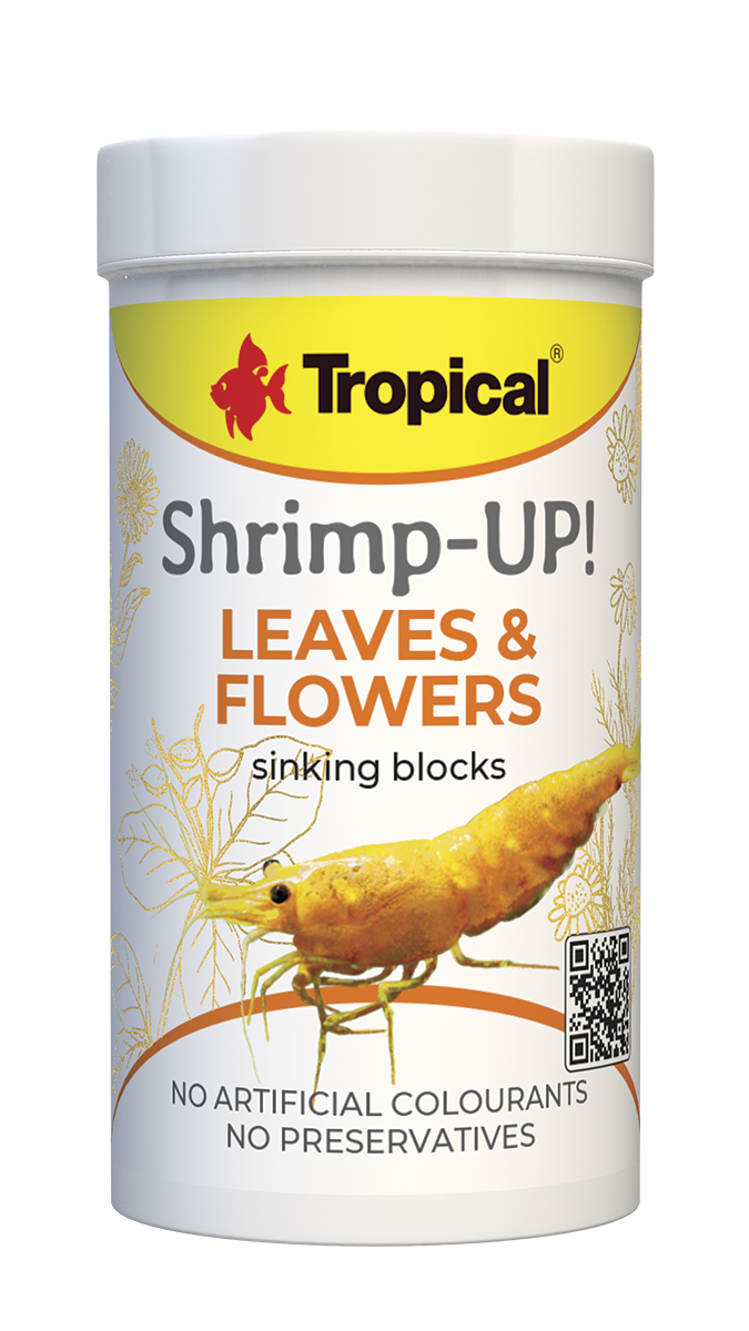 Shrimp-Up!