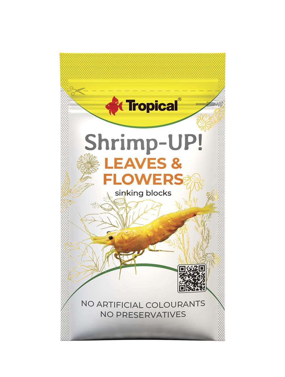 Shrimp-Up!