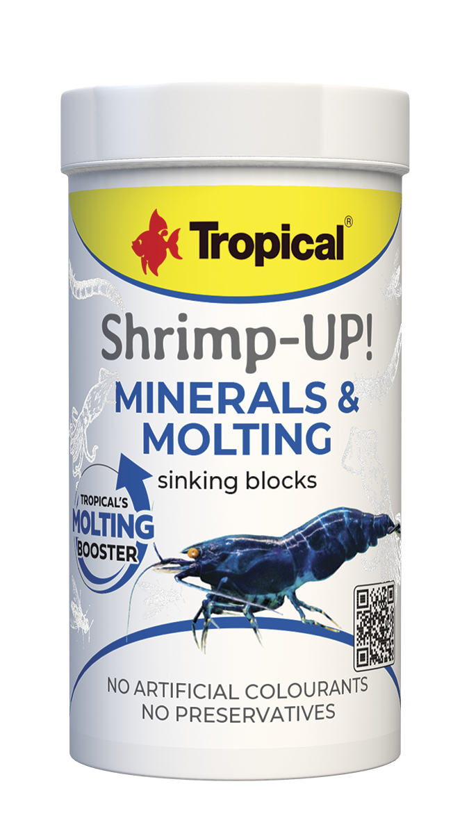 Shrimp-Up!