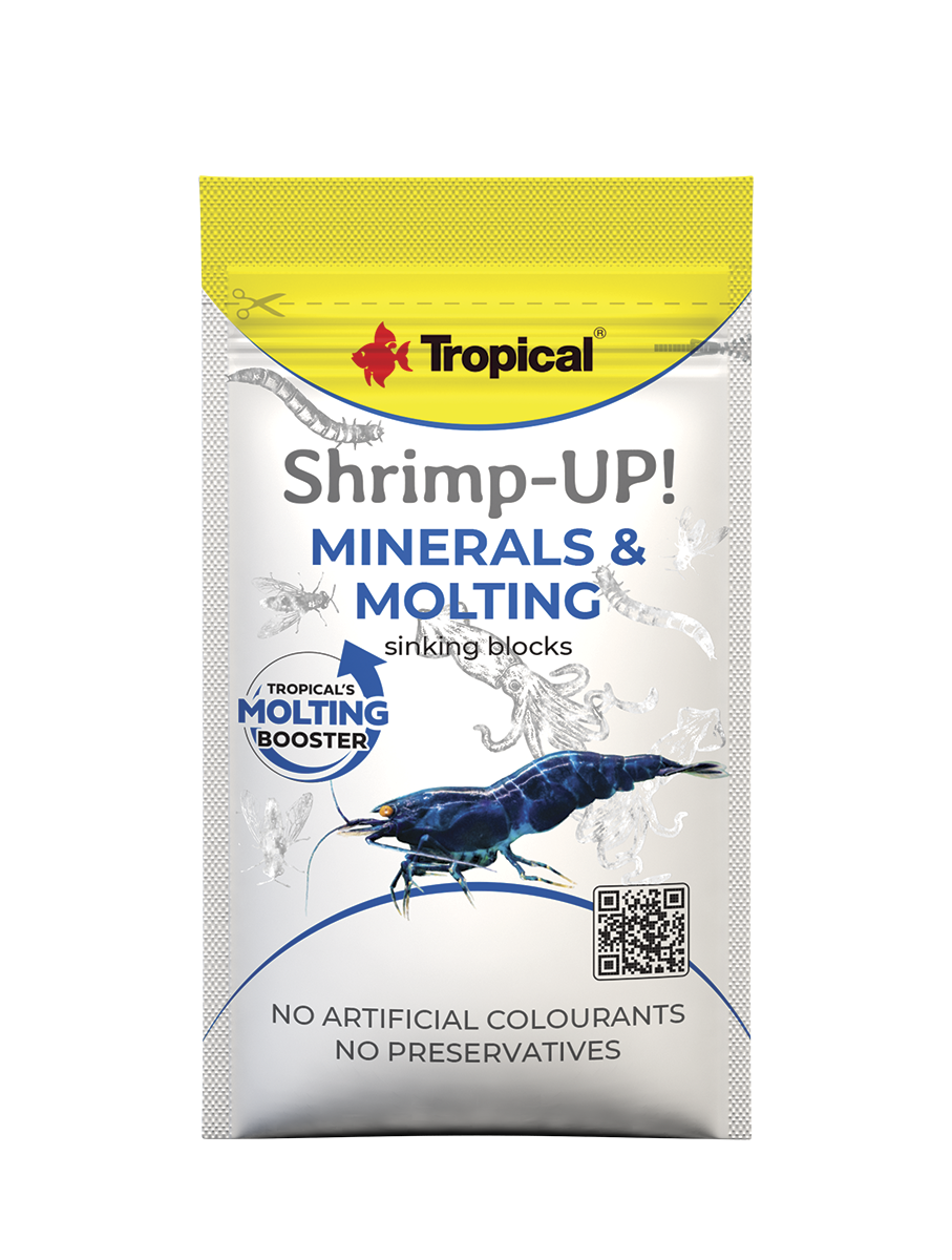 Shrimp-Up!
