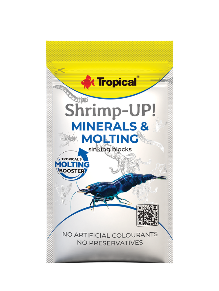Shrimp-Up!