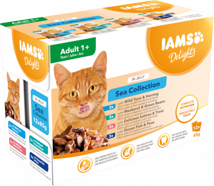 IAMS Nassfutter für ausgewachsene Katzen mit unterschiedlichen Fischaromen – Meereskollektion in Gelee (Adult 1+)