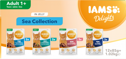 IAMS Nassfutter für ausgewachsene Katzen mit unterschiedlichen Fischaromen – Meereskollektion in Gelee (Adult 1+)