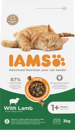 IAMS Trockenfutter ab 1 + Lamm