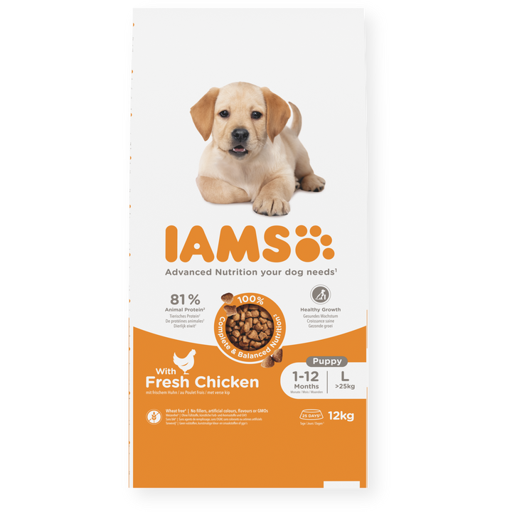 IAMS  Welpenfutter Große Rassen – Mit frischem Huhn | Ab 4 Wochen