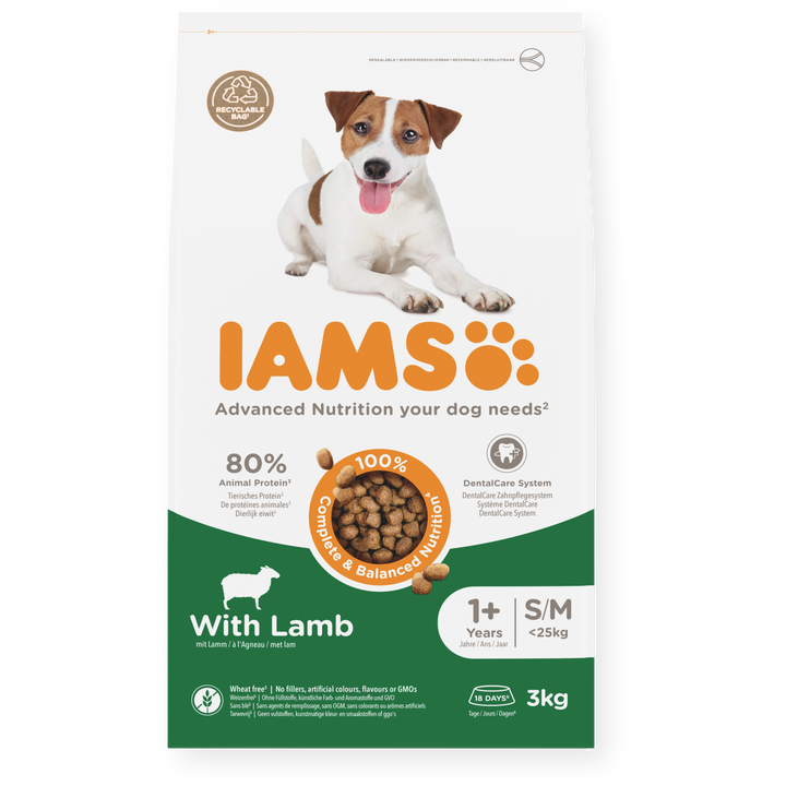 IAMS Trockenfutter Hund mit Lamm – Kleine & mittelgroße Rassen ab 1 Jahr