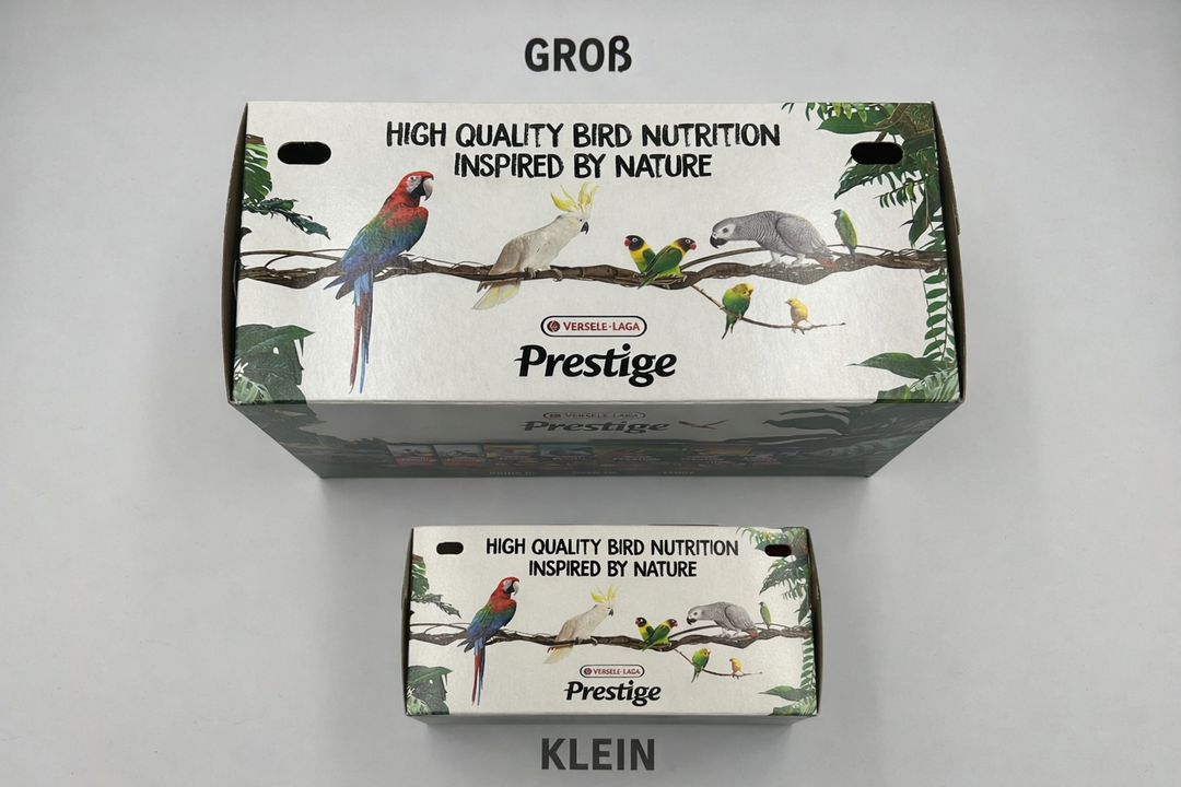 Vogel Transportbox aus Karton für Sittiche und Papageien