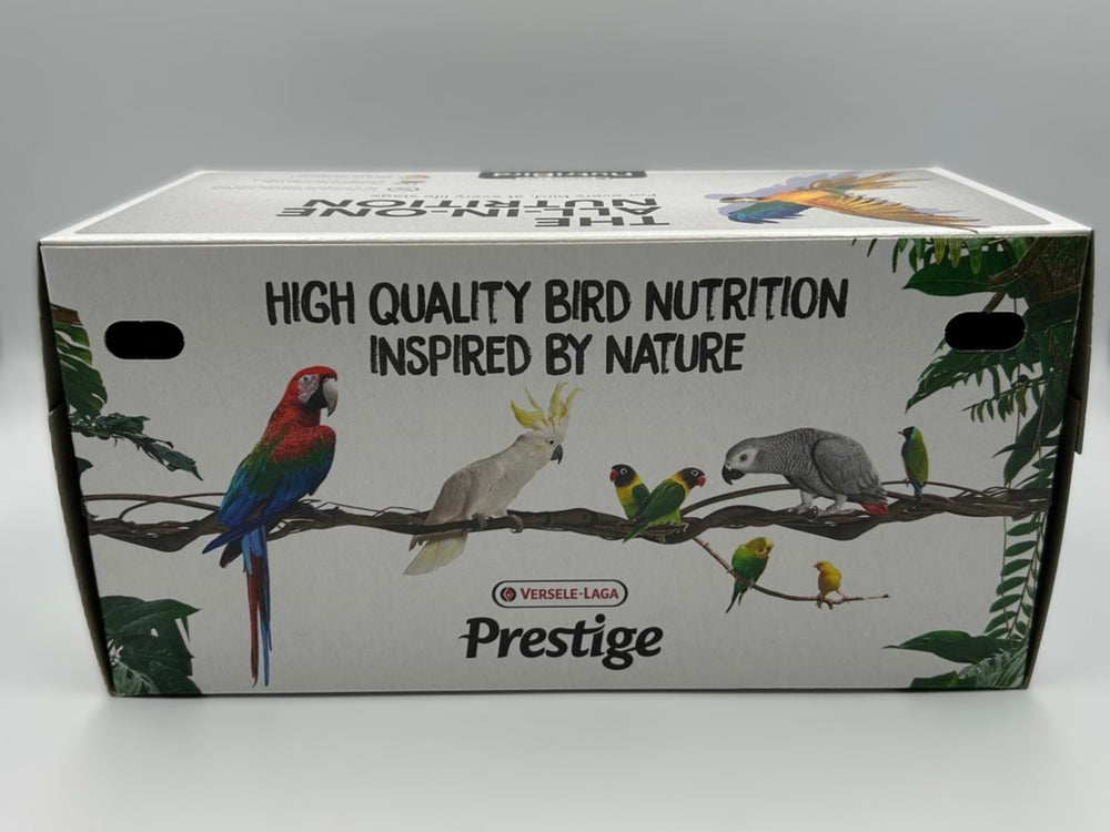 Transportkarton für Vögel groß – stabil und kompakt