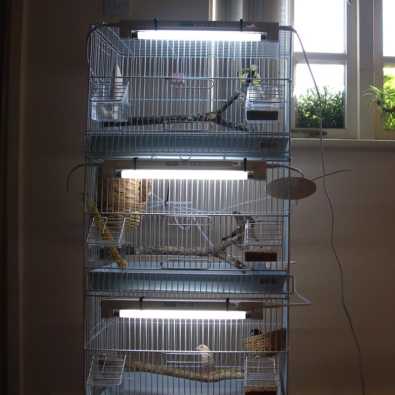 PureSun T5 Mini 2,4% Breeding Cage UV-B Kit