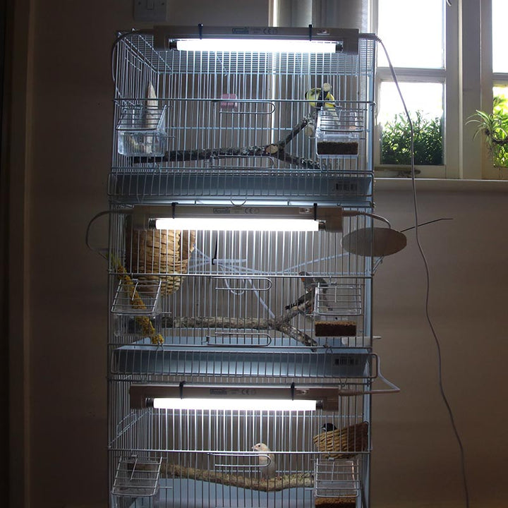 PureSun T5 Mini 2,4% Breeding Cage UV-B Kit