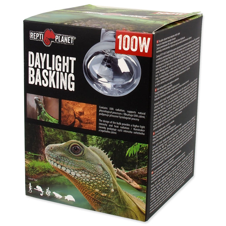 Daylight Basking