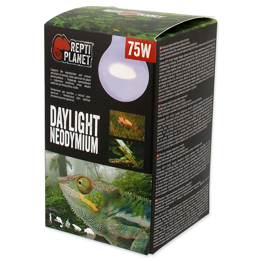 Daylight Neodymium