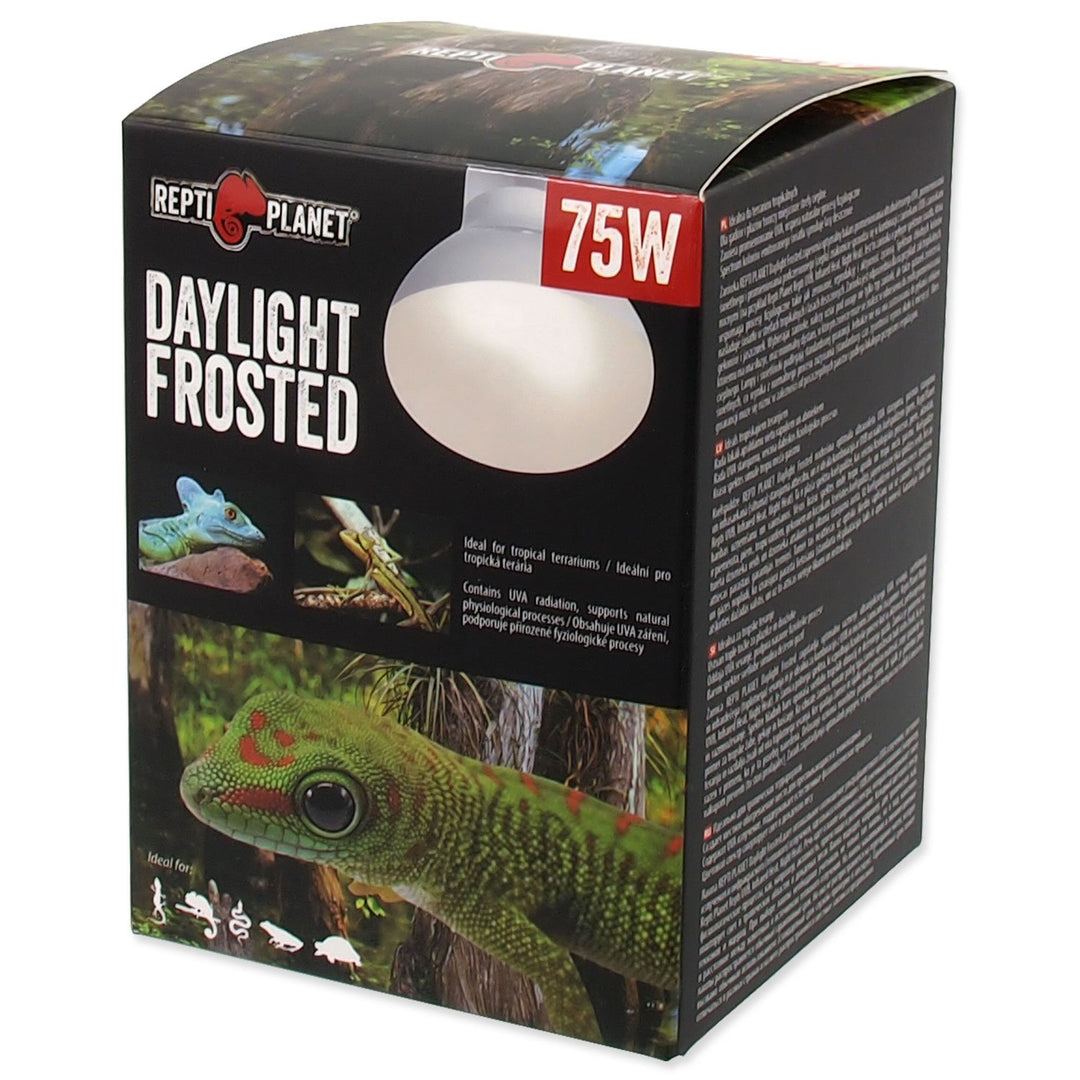Daylight Frosted