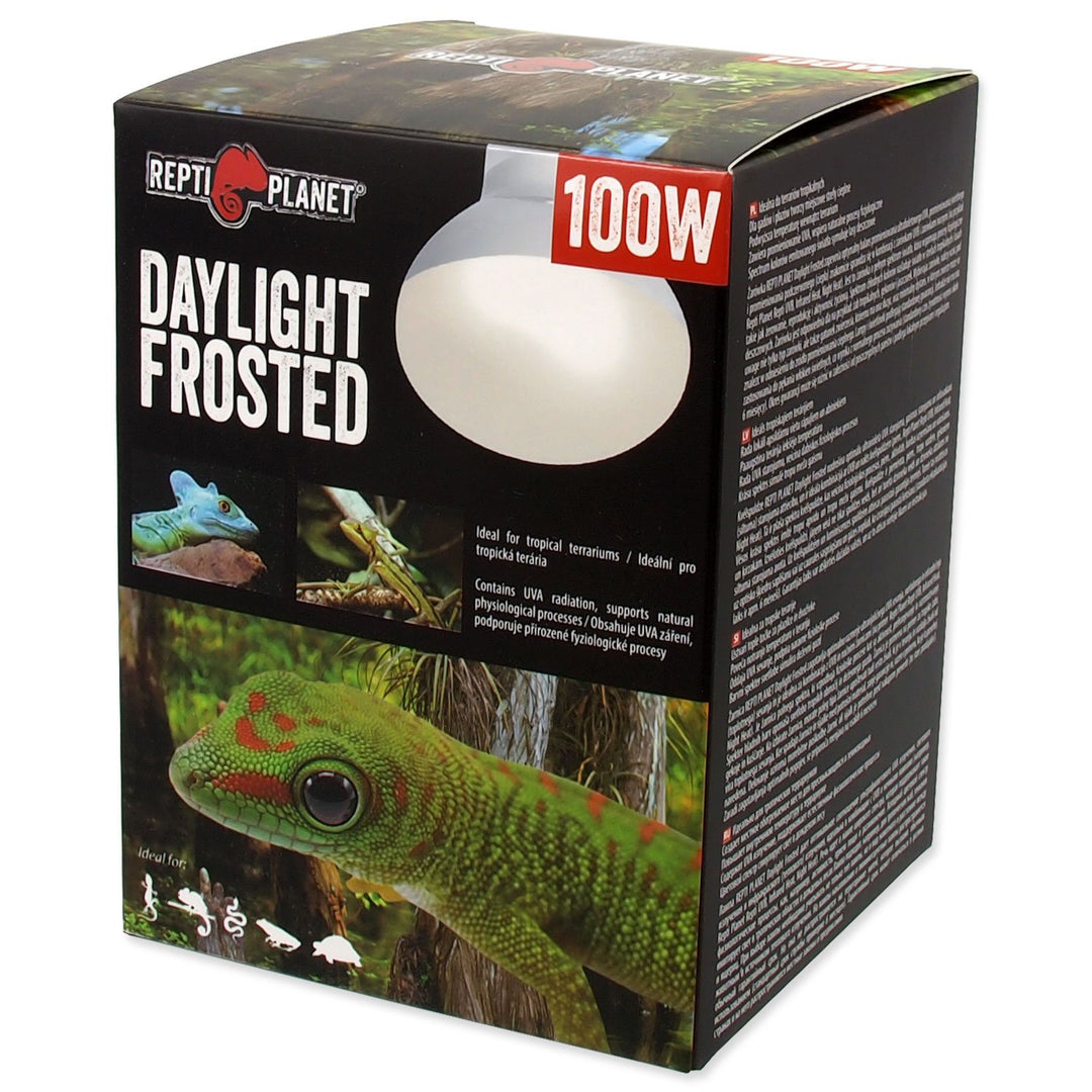 Daylight Frosted