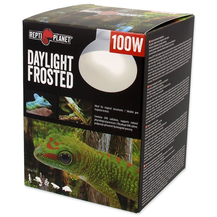 Daylight Frosted