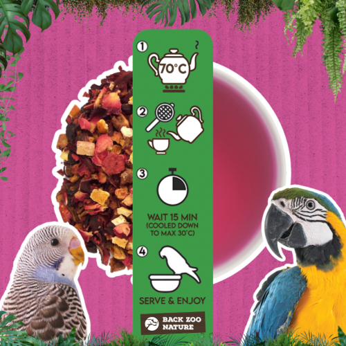 Parrot Tea Fruit & Berry – Früchtetee für Papageien & Sittiche