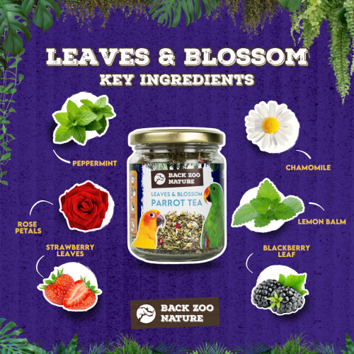 Parrot Tea Leaves & Blossom – Kräutertee für Papageien & Sittiche