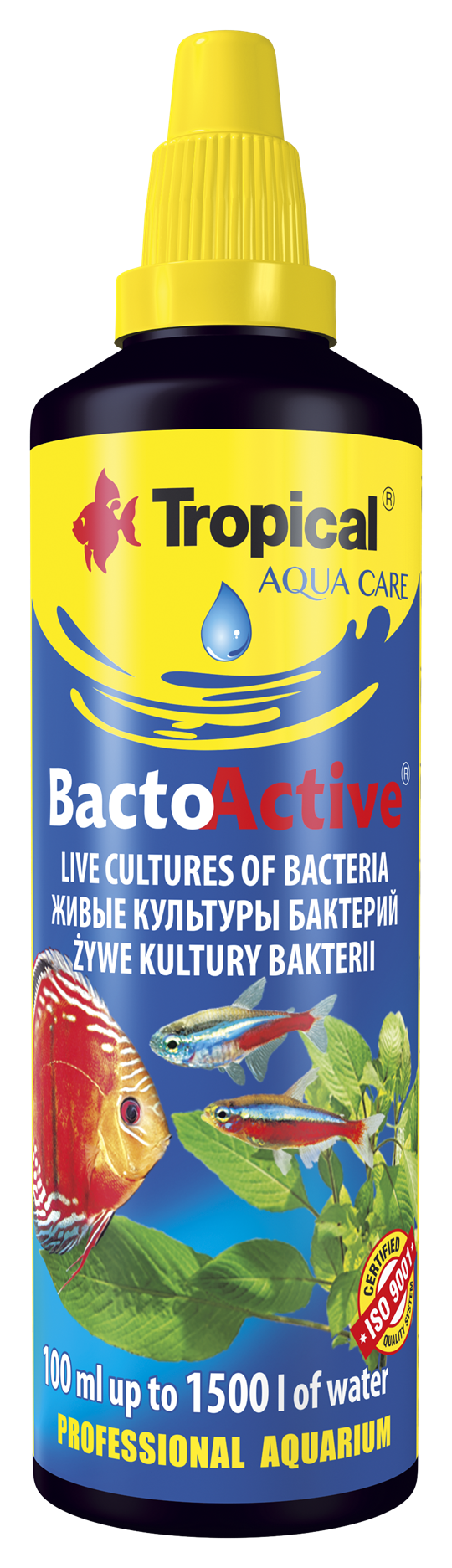 Bacto-Active