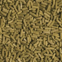 Biorept L von Tropical