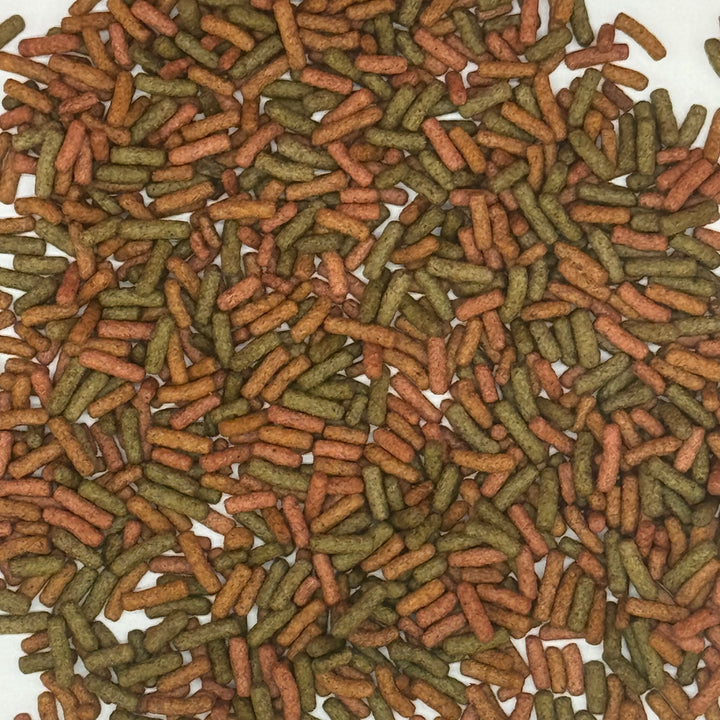 Biorept W Young