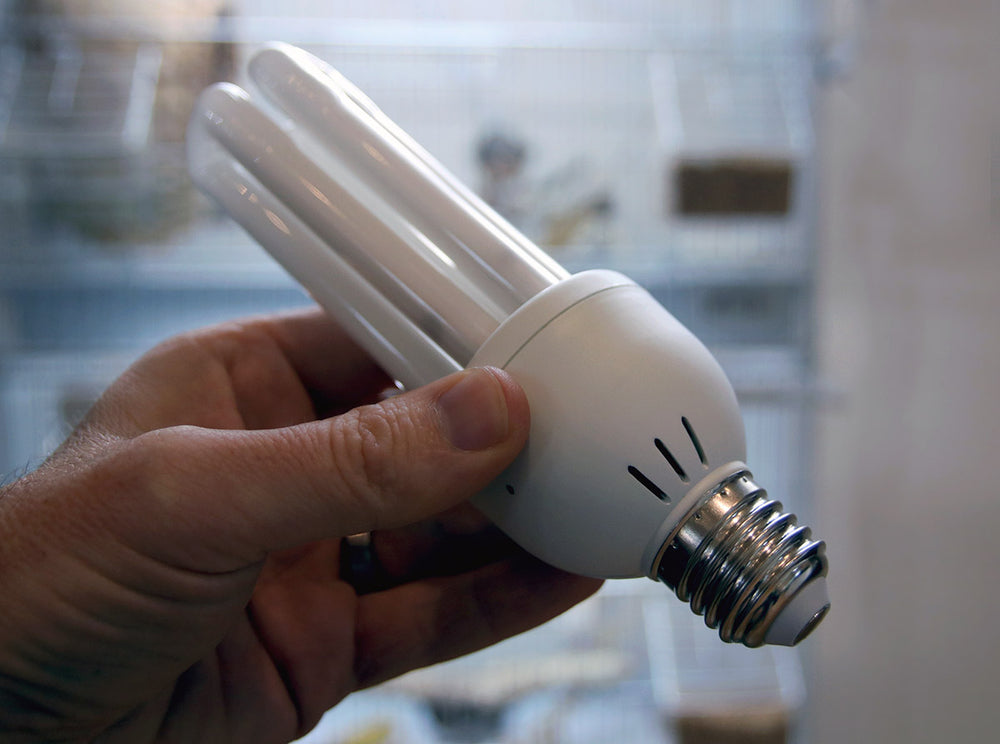 PureSun Compact Bird Lamp 2,4% UV-B