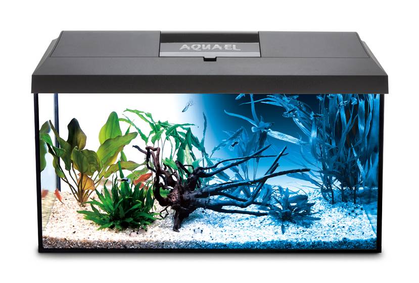 Leddy Day&Night Aquarium Set