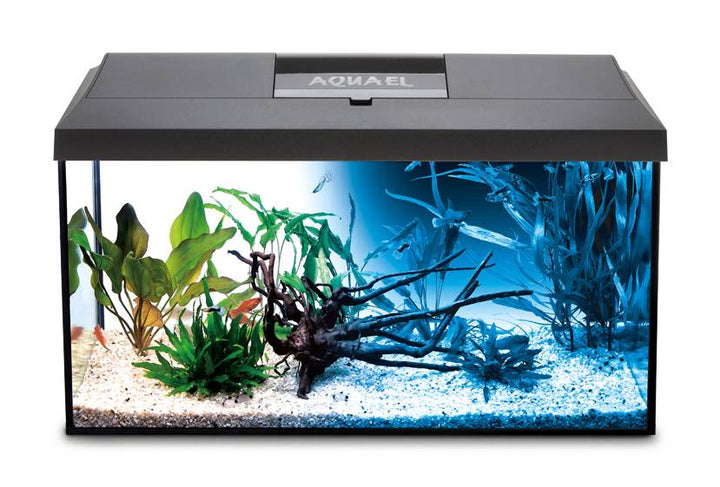Leddy Day&Night Aquarium Set