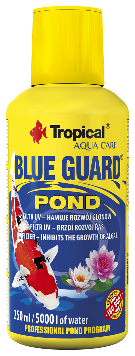 Blue Guard Pond