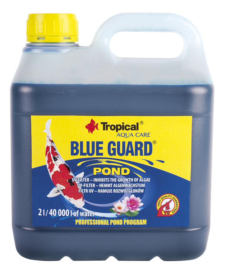 Blue Guard Pond