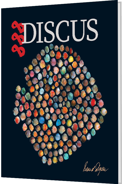 888 Discus