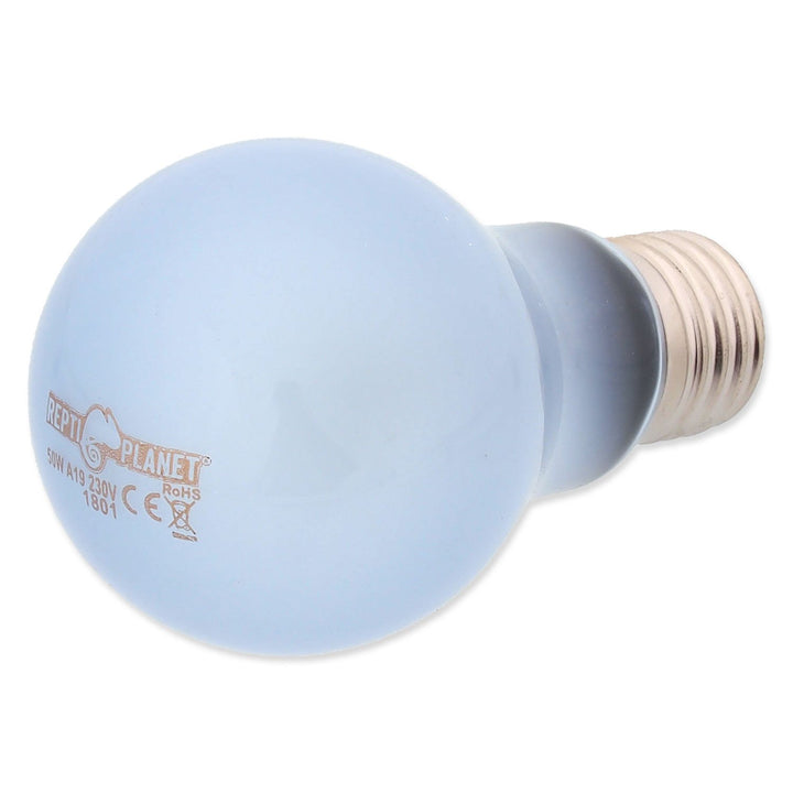 Daylight Neodymium