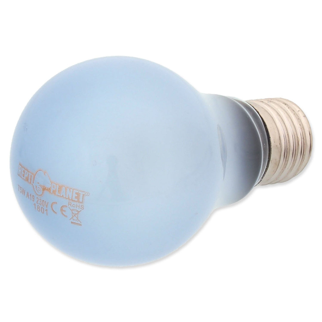 Daylight Neodymium