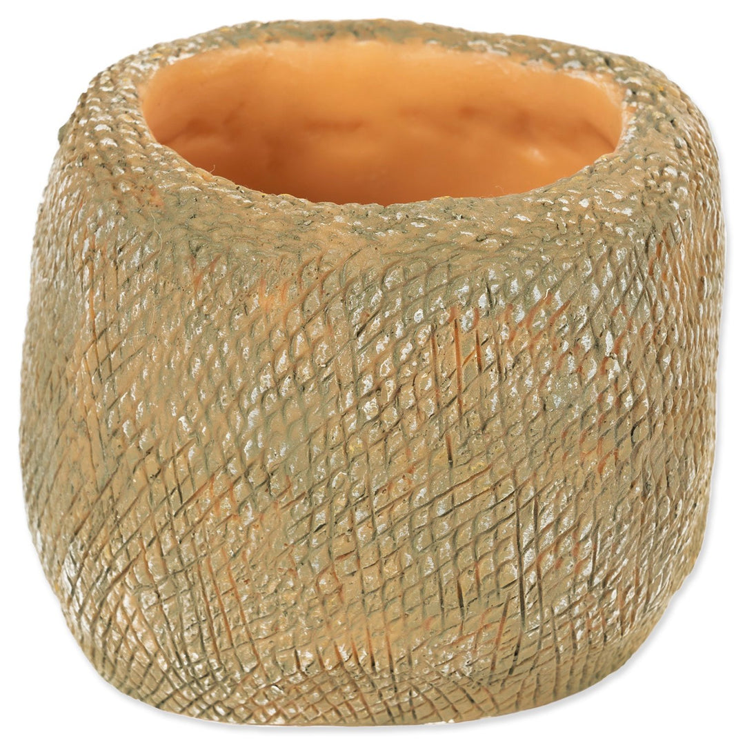 Snake Water Dish