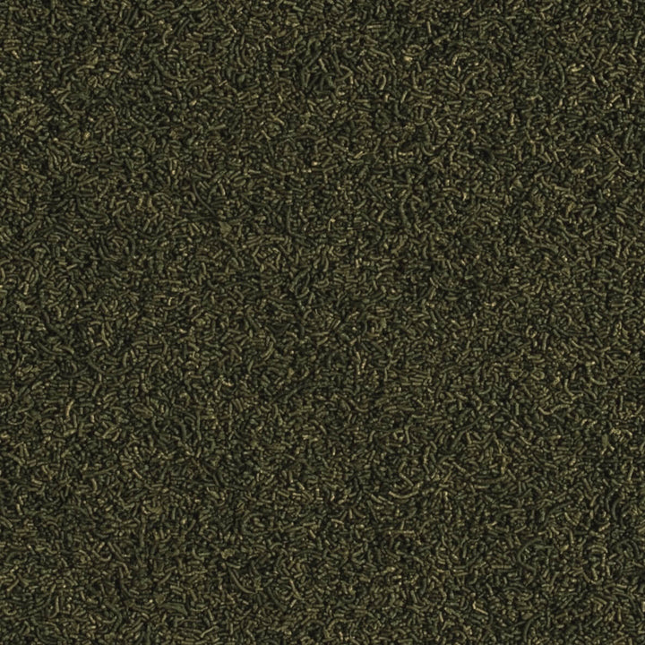 Caridina Nano Sticks