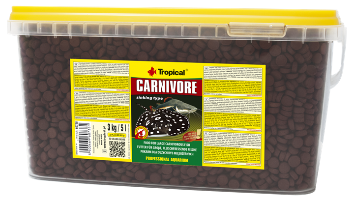 Carnivore