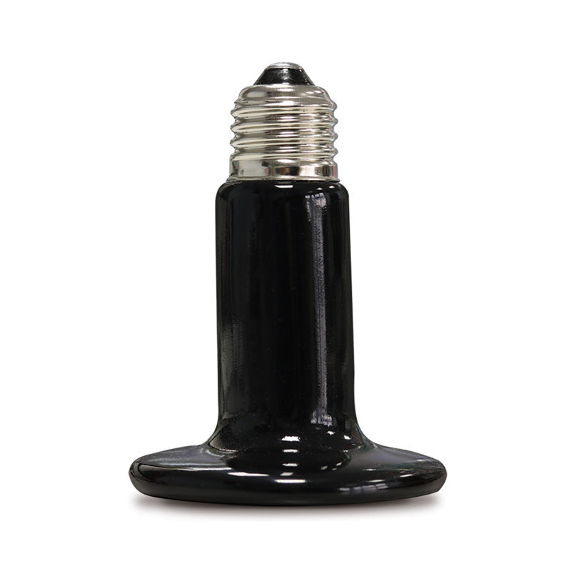 Ceramic Heater