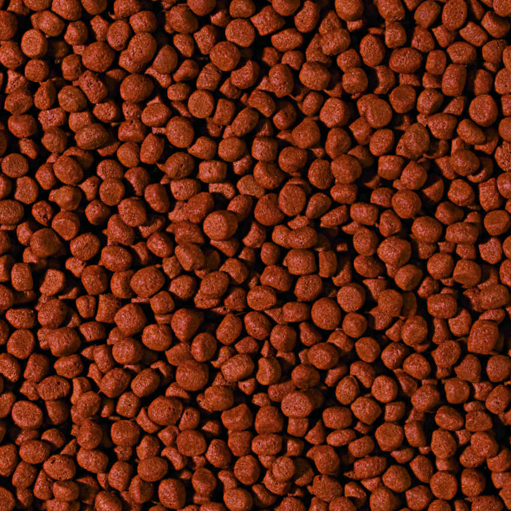 Cichlid Carnivore Medium Pellet