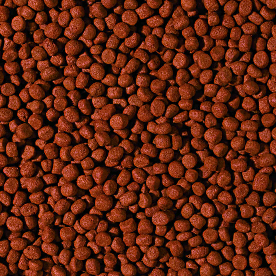 Cichlid Carnivore Medium Pellet